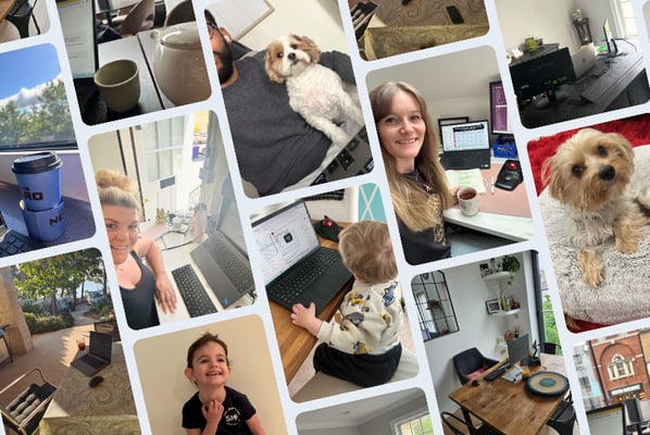 Remote life for Mixology Digital employees